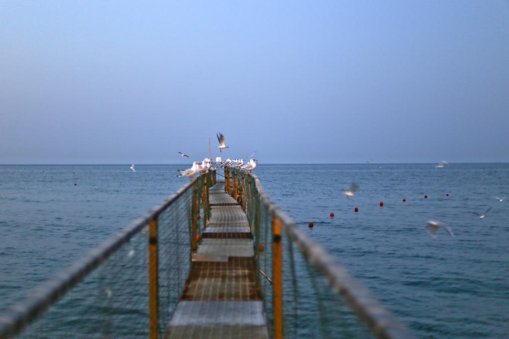 Hotel Villa Maria Rimini Bagian luar foto